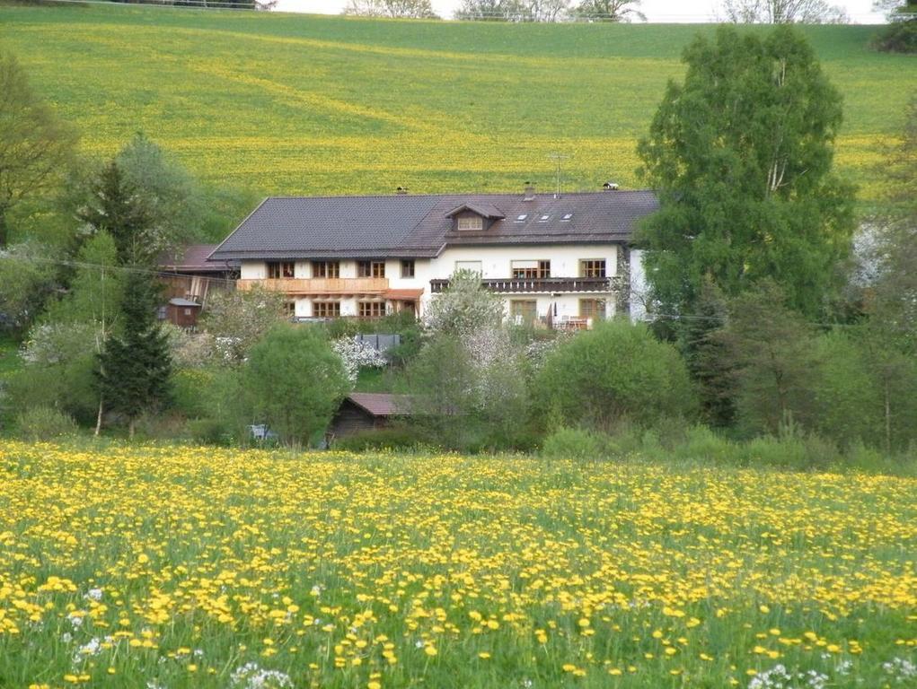 Pension Landhaus Riedelstein دراخسيلسريد المظهر الخارجي الصورة